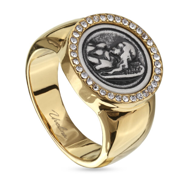 Кольцо Ангел (кристаллы SW; покрытие золото, античное серебро)